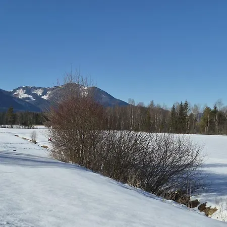 Appartement Garten 1 Seeblick By Interhome Strobl