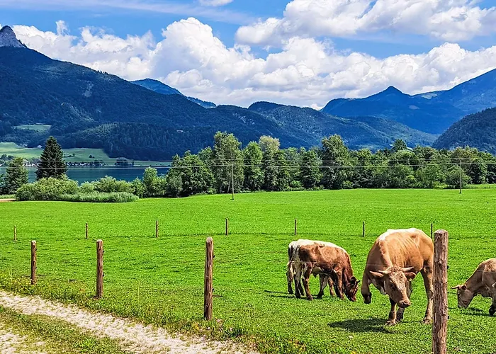 Apartament Garten 1 Seeblick By Interhome Strobl