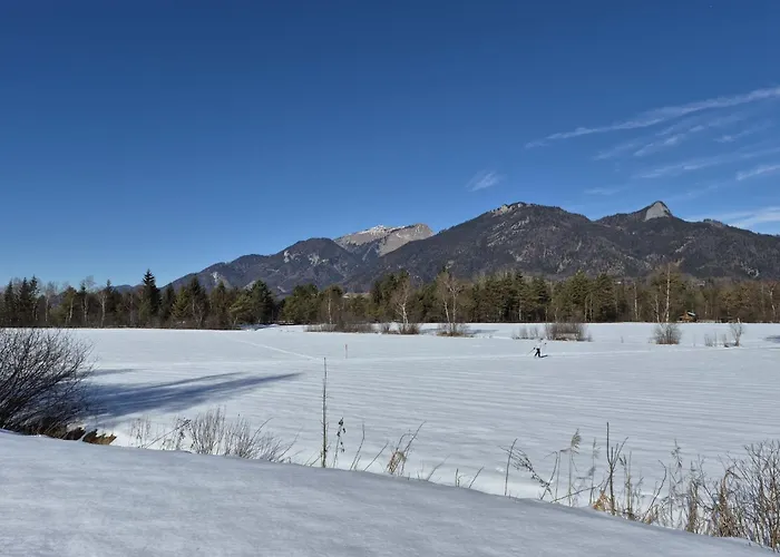 Appartement Garten 1 Seeblick By Interhome Strobl
