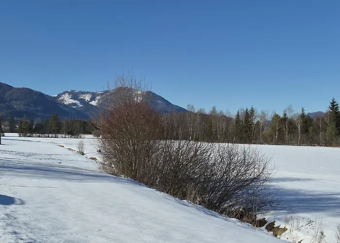 Appartement Garten 1 Seeblick By Interhome Strobl